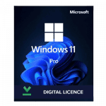 WINDOWS KEYS