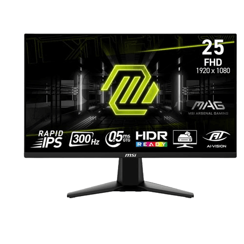 MSI MAG 255XF 24.5' Inch FHD 300Hz Rapid IPS 0.5ms AMD FreeSync Premium Gaming Monitor (3 YEARS WARRANTY)