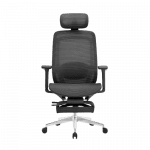 Rae Ergo Flex 4D Ergonomic Chair - BLACK (4 YEARS WARRANTY)