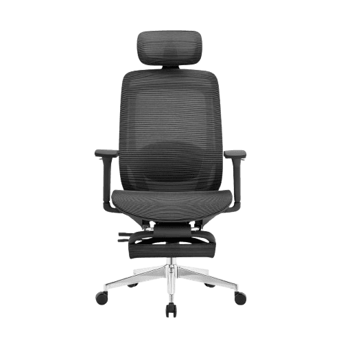 Rae Ergo Flex 4D Ergonomic Chair - BLACK (4 YEARS WARRANTY)