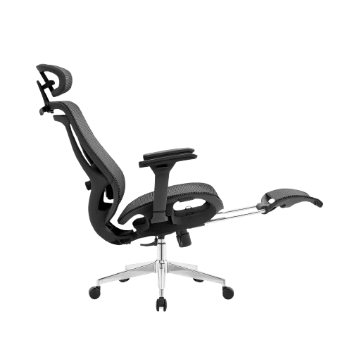Rae Ergo Flex 4D Ergonomic Chair - BLACK (4 YEARS WARRANTY) Detail View