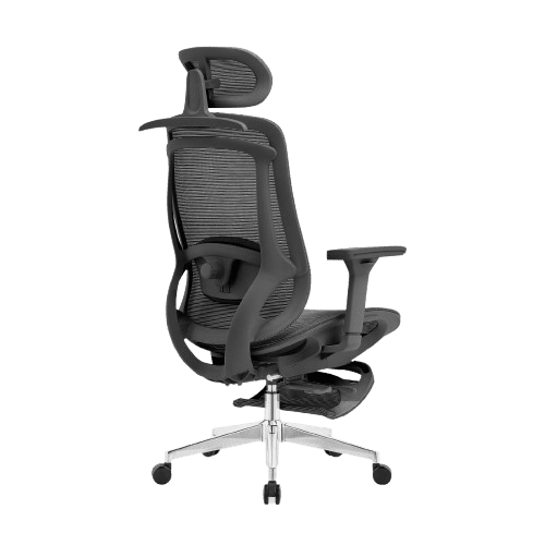 Rae Ergo Flex 4D Ergonomic Chair - BLACK (4 YEARS WARRANTY) Detail View