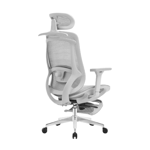 Rae Ergo Flex 4D Ergonomic Chair - BLACK (4 YEARS WARRANTY) Detail View