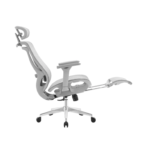 Rae Ergo Flex 4D Ergonomic Chair - BLACK (4 YEARS WARRANTY) Detail View