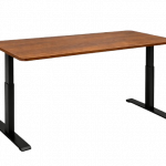 Rae Elevate Pro Dual Motor Sit Stand Desk (4 YEARS WARRANTY)