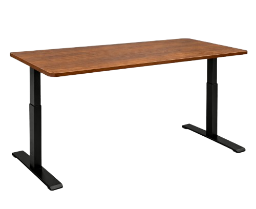 Rae Elevate Pro Dual Motor Sit Stand Desk (4 YEARS WARRANTY)