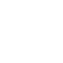Cash